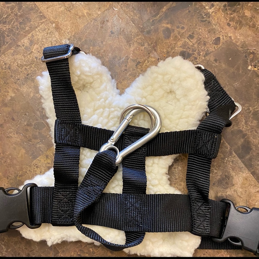 Medium dog seatbelt harness, washed and sanitized